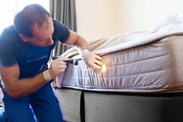 Best Bed Bug Extermination  in Westville, NJ